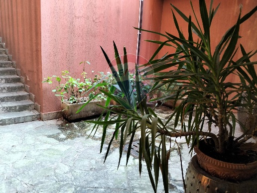 immagine annuncio 2 di 11