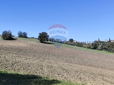 Foto Terreno agricolo in VIA DEI MERCURI, Benevento San Vitale in vendita