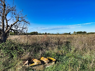 Foto Terreno agricolo a Piombino di 19940 m² in vendita