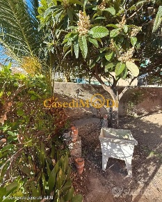 Foto Appartamento a Livorno Fabbricotti di 100 m² con 4 locali in vendita