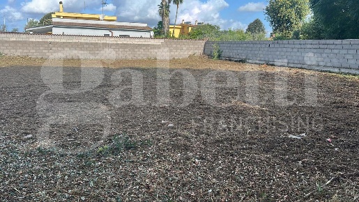 Foto Terreno residenziale in Via MONTE FLAVIO 2, Nettuno di 1080 m²