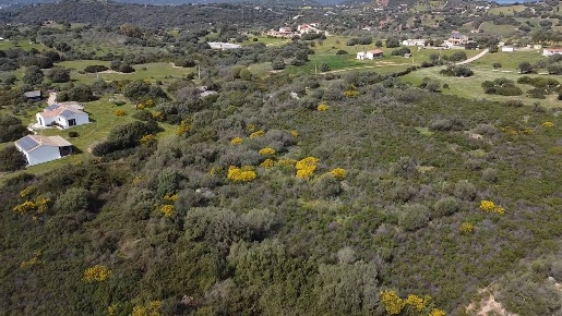 Foto Terreno agricolo in sa curi, Golfo Aranci di 30000 m² in vendita