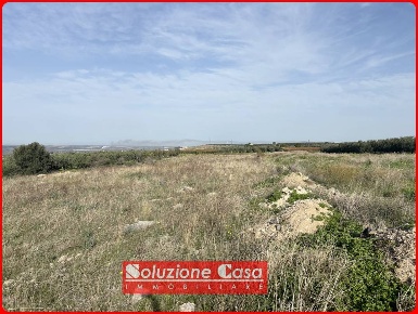 Foto Terreno agricolo in contrada Sant'antonio, Canosa di Puglia di 6193 m²