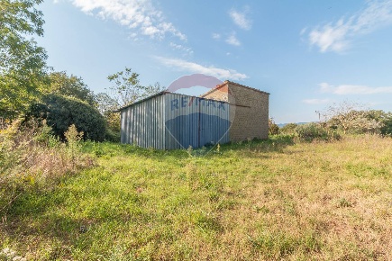 Foto Rustico in Strada Provinciale 106, Ischia di Castro di 84 m²