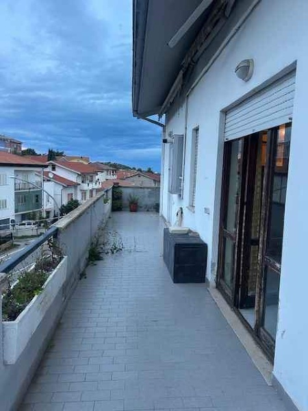 immagine annuncio 4 di 12