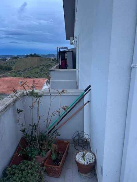 immagine annuncio 6 di 12