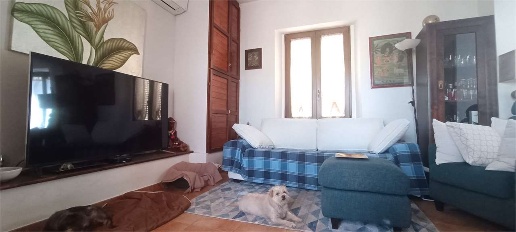 immagine annuncio 4 di 14