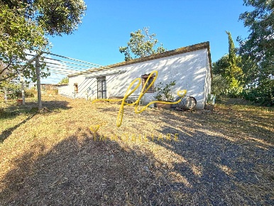 Foto Terreno agricolo a Cecina Cecina Centro di 5186 m² in vendita