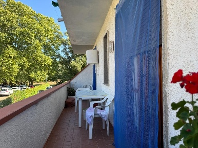 Foto Appartamento a Viareggio Torre del Lago di 60 m² con 4 locali