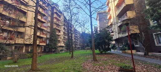 immagine annuncio 1 di 14