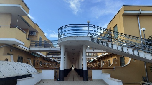 immagine annuncio 11 di 14