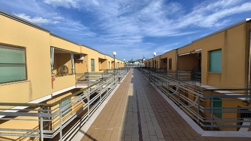 immagine annuncio 12 di 14