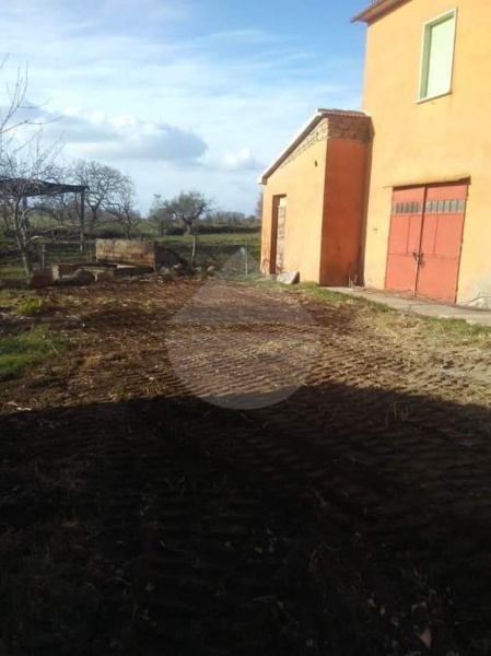 immagine annuncio 5 di 6