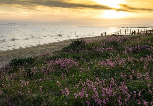 immagine annuncio 2 di 7