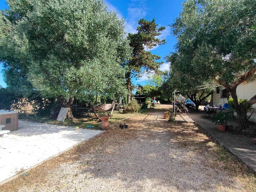 immagine annuncio 4 di 13