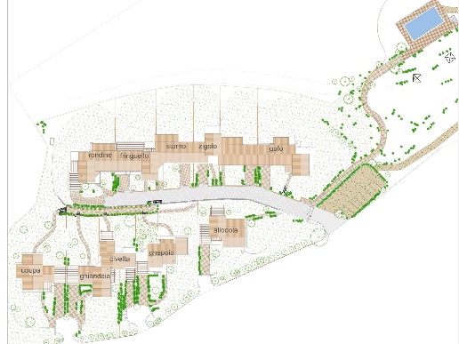 immagine annuncio 8 di 11