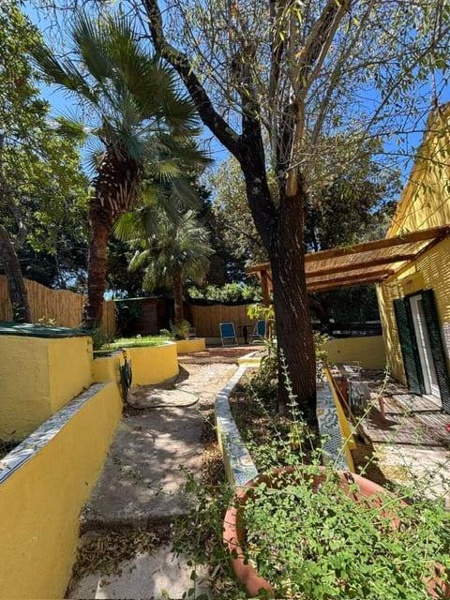 immagine annuncio 5 di 6