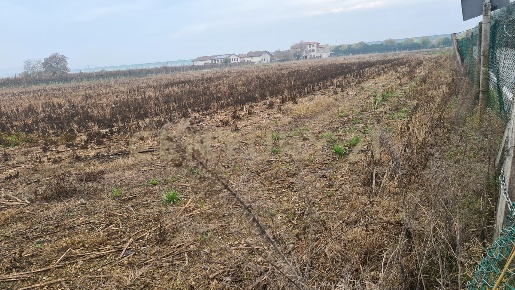 Foto Terreno agricolo in Via Siberie, Sommacampagna di 20934 m² in vendita