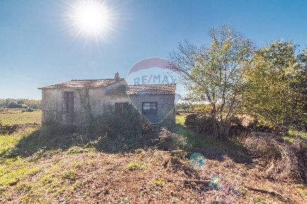 Foto Terreno agricolo a Ischia di Castro in vendita