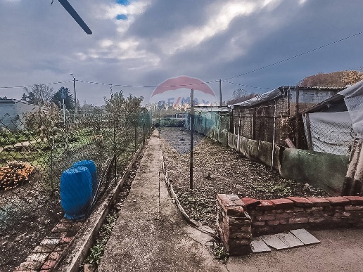 immagine annuncio 3 di 14