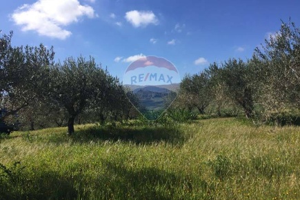 Foto Terreno agricolo in Contrada Bagni Crisiola, Marineo di 12899 m²