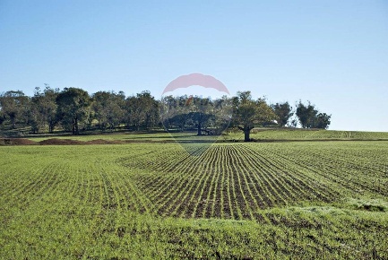 Foto Terreno residenziale in Contrada Le Schette, Riesi di 27000 m²