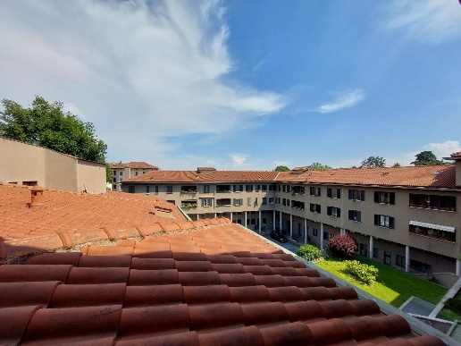 immagine annuncio 2 di 14