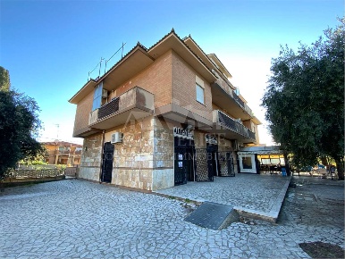 Foto Negozio in PIAZZA VINCENZO PIZZI, Anzio Lido dei Pini di 70 m²