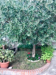 Foto Casa indipendente a Massa Centro di 80 m² con 3 locali in vendita