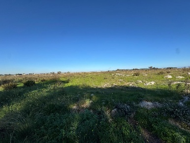 Foto Terreno industriale a Lecce Borgo Pace in vendita