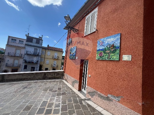 immagine annuncio 11 di 14