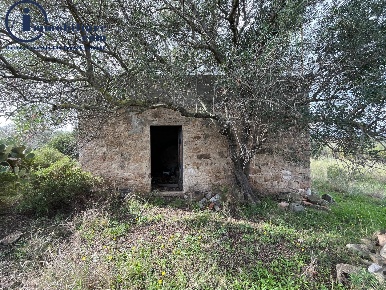 Foto Terreno agricolo in regione perducciu, Girasole di 12400 m² in vendita