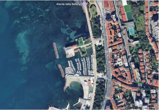 immagine annuncio 3 di 15