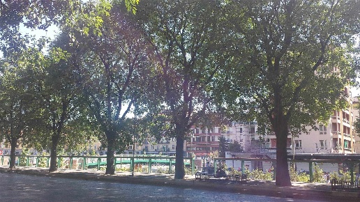 immagine annuncio 10 di 12