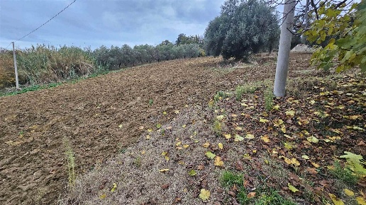 immagine annuncio 5 di 8