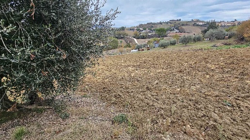 immagine annuncio 6 di 8