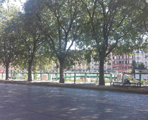 immagine annuncio 8 di 12