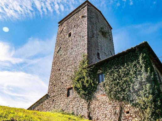 immagine annuncio 12 di 15