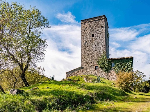 immagine annuncio 13 di 15