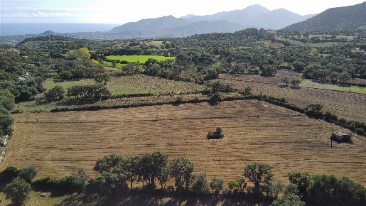 Foto Terreno agricolo a Loceri di 13115 m² in vendita