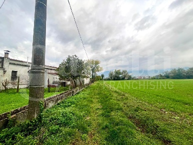 Foto Terreno agricolo in Via Scafa snc, Alife di 4500 m² in vendita