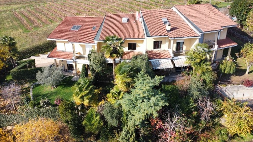 immagine annuncio 1 di 14