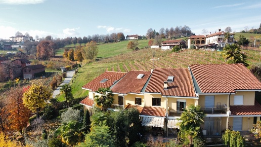 immagine annuncio 2 di 14