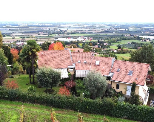 immagine annuncio 13 di 14