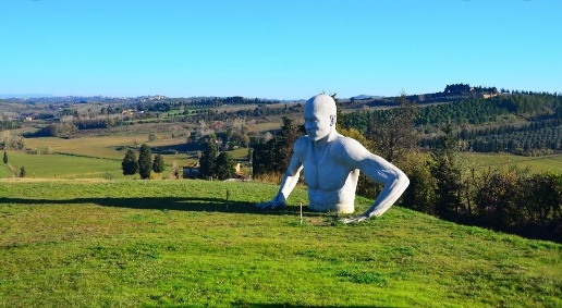 Foto Terreno agricolo a Peccioli di 12020 m² in vendita