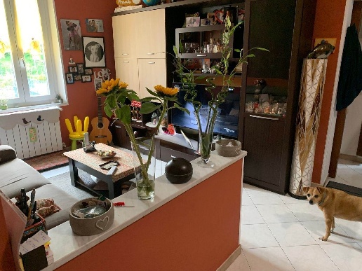 immagine annuncio 2 di 7