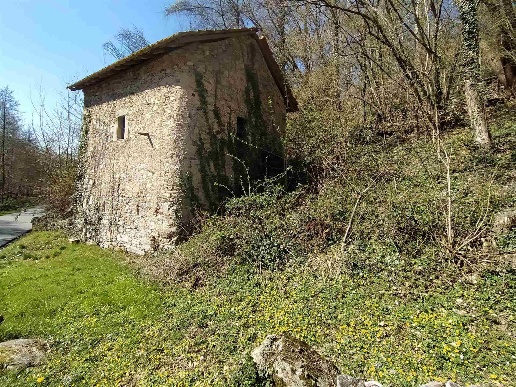 immagine annuncio 1 di 8