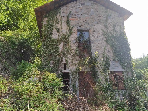 immagine annuncio 2 di 8