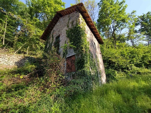 immagine annuncio 3 di 8