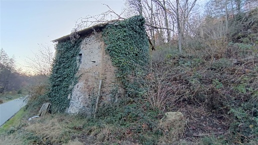 immagine annuncio 7 di 8